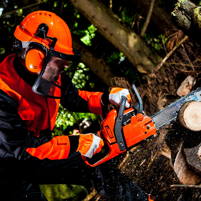 Safety & PPE overview: Arborist & Forestry